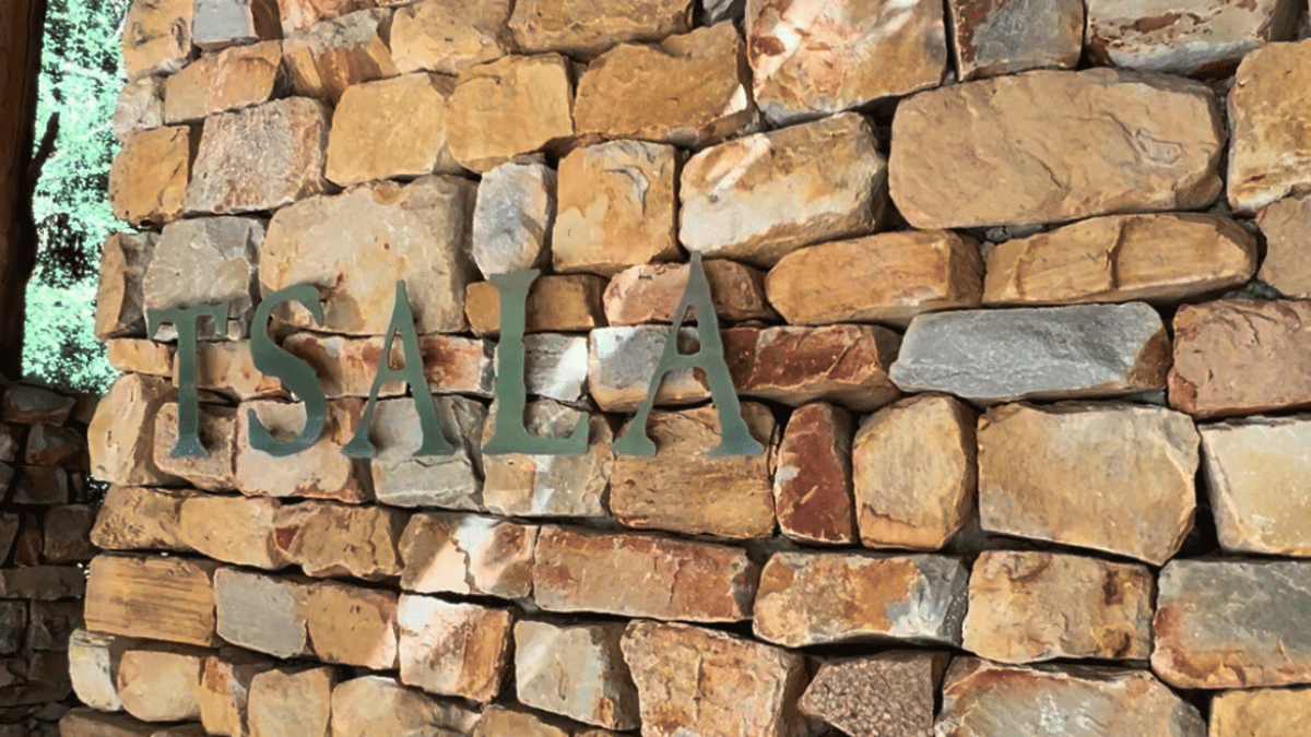 Tsala Treetop Lodge: Where Romance Meets the Canopy