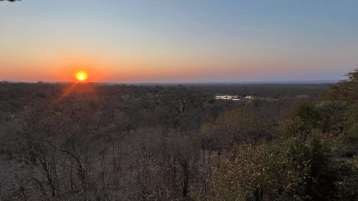 An Honest Review of the Victoria Falls Safari Club Hotel